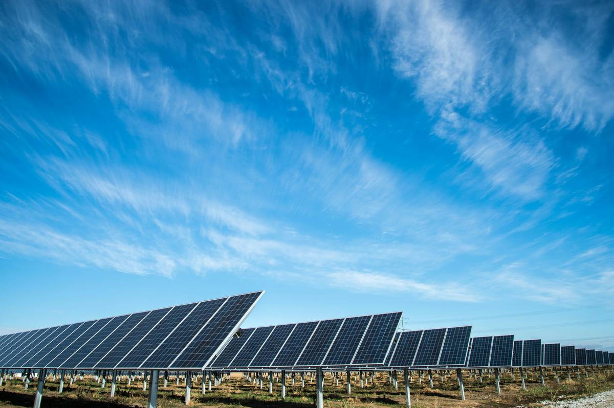 close-up of solar technology monocrystalline panel how much showing cell structure and frame detail